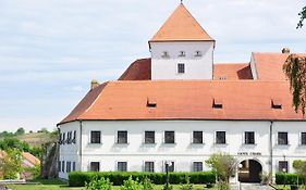 Hotel Chateau Zamek Cejkovice